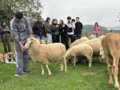 Integration, Bewegung und Landwirtschaft hautnah: