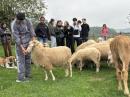 Integration, Bewegung und Landwirtschaft hautnah: